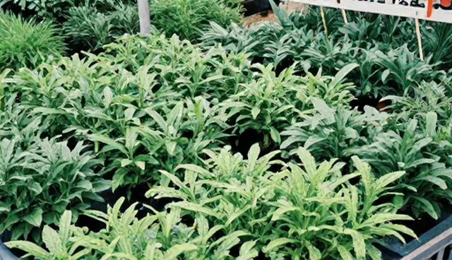 农机服务效率提升的两个关键环节